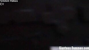 Giantess summer stomps and destroys you