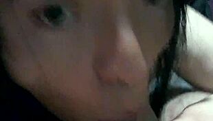 natural gata ladyboy enjoys oral sex