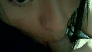 natural gata ladyboy enjoys oral sex