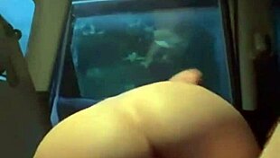 my slutty gf gets wrecked by hung stud in car