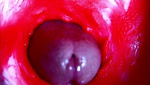 Extreme close up view inside wet pussy
