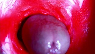 Extreme close up view inside wet pussy