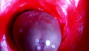 Extreme close up view inside wet pussy