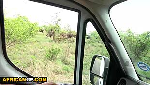 cute ebony girlfriend gives deep african safari road head