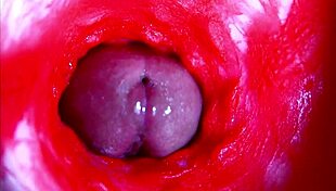 Extreme close up view inside wet pussy