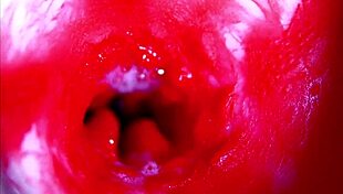 Extreme close up view inside wet pussy