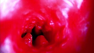 Extreme close up view inside wet pussy