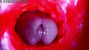 Extreme close up view inside wet pussy