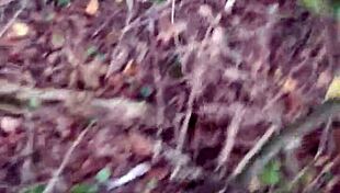 We fuck deep in forest so no one knows our lesbian secret