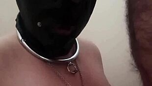 let me eat your huge cock amateur couple nysdel
