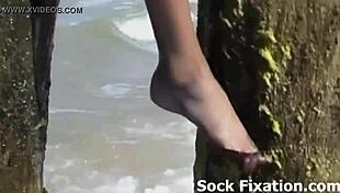 Humiliating you sock losers