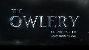chode wang and the owlery gobbywarts school of sexcraft and wickedry sims 4 harry potter rule 34 porn
