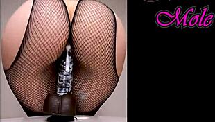 oiled pawg in pantyhose rides dildo with big round ass sounds
