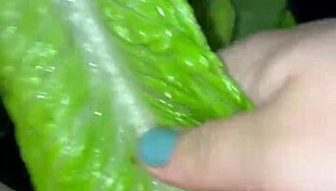 chicken vegetables in my virgin teen beautiful wet sexy pussy best saudi amateur