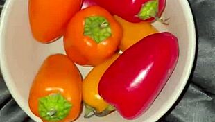 chicken vegetables in my virgin teen beautiful wet sexy pussy best saudi amateur