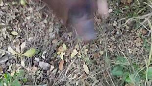 Risky public masturbation in garden and street