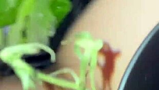 chicken vegetables in my virgin teen beautiful wet sexy pussy best saudi amateur