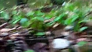 Nicebigddd fucking in the woods