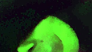 i give stepbrother oral blindfolded