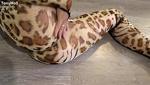 Very hot after the party a beauty in a leopard bodysuit passionately fucks and sucks a dick